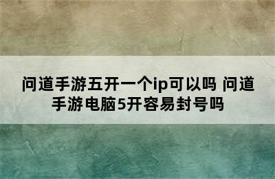 问道手游五开一个ip可以吗 问道手游电脑5开容易封号吗